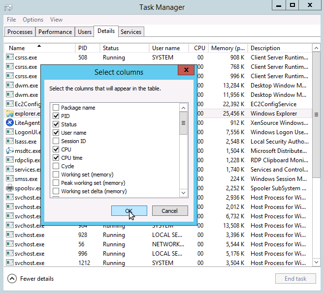 Task manager details tab