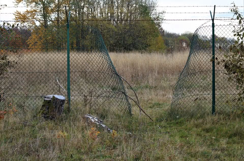 Wire mesh fence